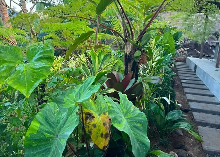 The Local Entikentikan Lodge Bangli